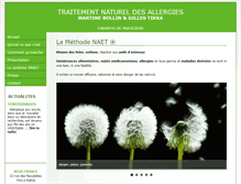 Tablet Screenshot of naet-paris.fr